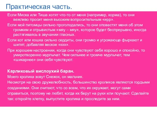 Практическая часть. Если Миска или Тиша хотят что-то от меня (например, корма), то