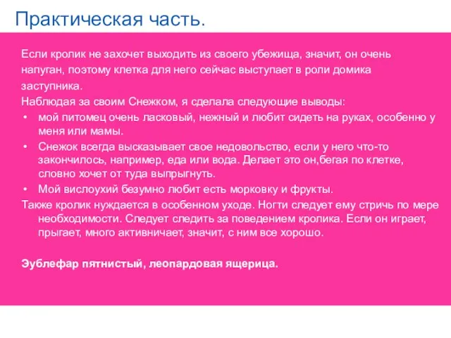 Практическая часть. Если кролик не захочет выходить из своего убежища,