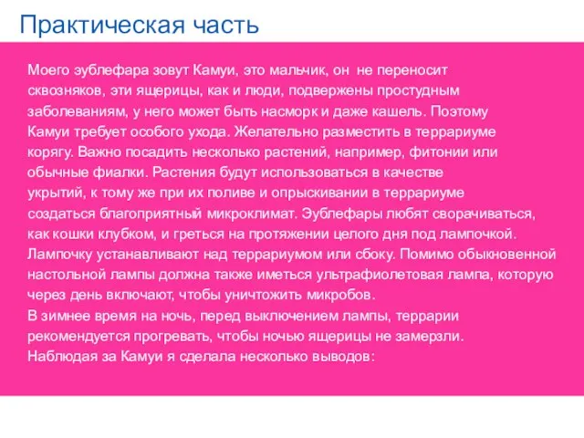 Практическая часть Моего эублефара зовут Камуи, это мальчик, он не переносит сквозняков, эти