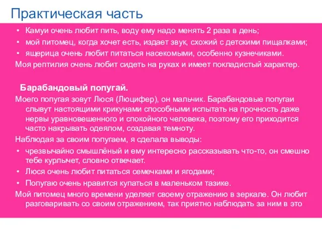 Практическая часть Камуи очень любит пить, воду ему надо менять 2 раза в