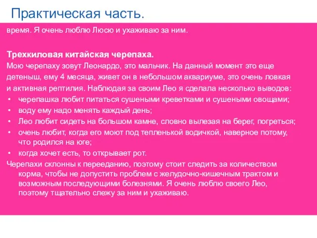 Практическая часть. время. Я очень люблю Люсю и ухаживаю за ним. Трехкиловая китайская