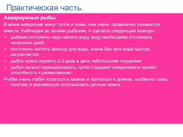 Практическая часть. Аквариумные рыбы. В моем аквариуме живут гуппи и сомы, они очень