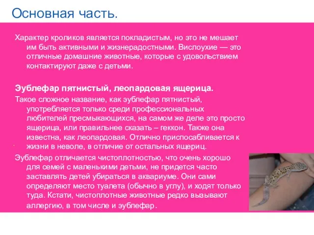 Основная часть. . Характер кроликов является покладистым, но это не мешает им быть