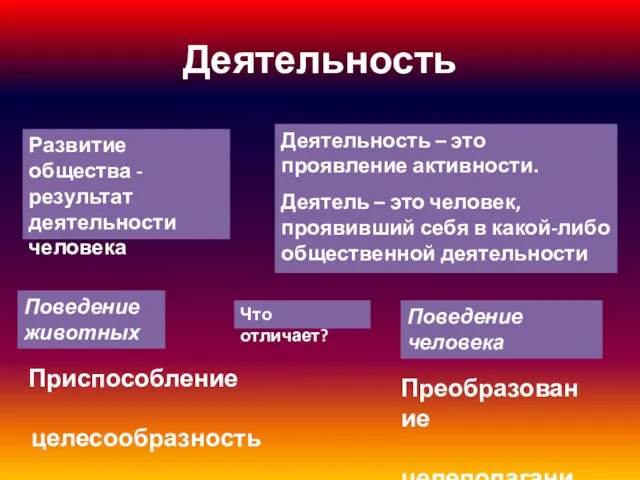 Деятельность Развитие общества -результат деятельности человека Деятельность – это проявление