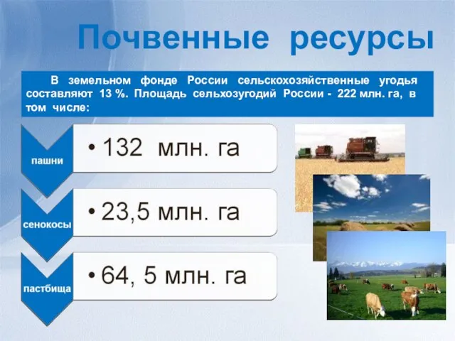 Почвенные ресурсы В земельном фонде России сельскохозяйственные угодья составляют 13