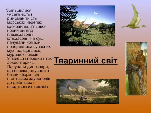 Тваринний світ Збільшилися чисельність і різноманітність морських черепах і крокодилів,