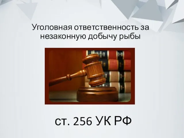 Уголовная ответственность за незаконную добычу рыбы ст. 256 УК РФ