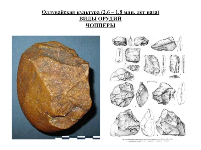 Олдувайская культура (2.6 – 1.8 млн. лет наза) ВИДЫ ОРУДИЙ ЧОППЕРЫ