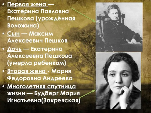 Первая жена — Екатерина Павловна Пешкова (урождённая Воложина) Сын —