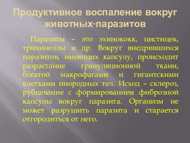 Продуктивное воспаление вокруг животных-паразитов Паразиты – это эхинококк, цистицек, трихинеллы