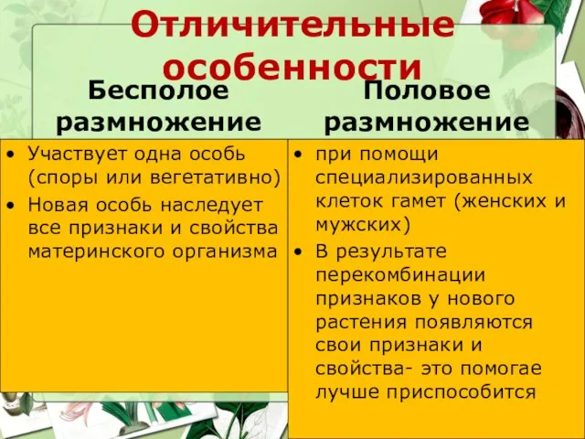 Отличительные особенности Бесполое размножение Участвует одна особь (споры или вегетативно)