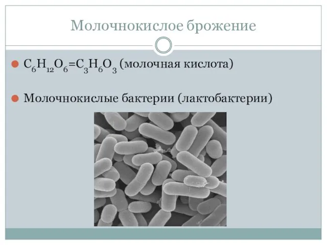 Молочнокислое брожение С6Н12О6=С3Н6О3 (молочная кислота) Молочнокислые бактерии (лактобактерии)
