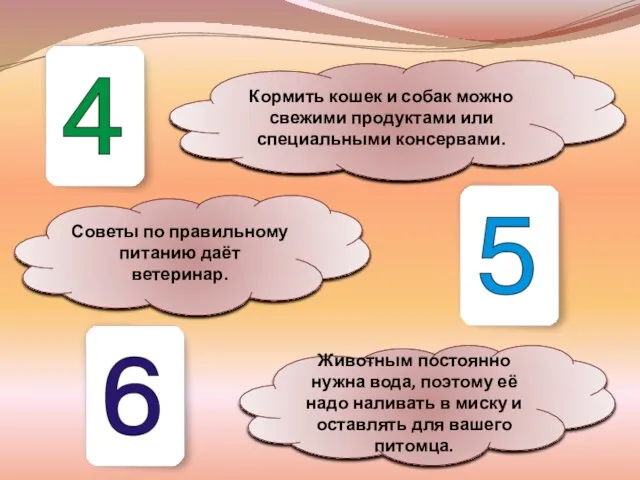 Кормить кошек и собак можно свежими продуктами или специальными консервами.