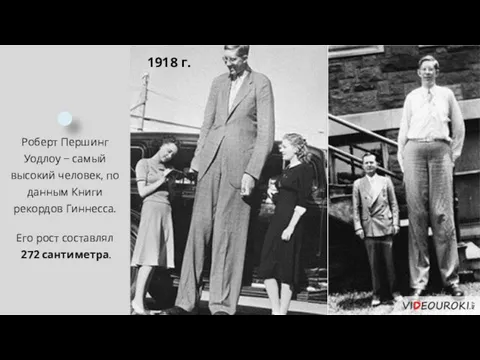 Роберт Першинг Уодлоу − самый высокий человек, по данным Книги