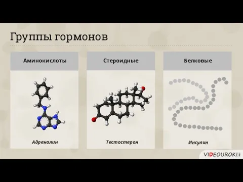 Группы гормонов Адреналин Тестостерон Инсулин Аминокислоты Стероидные Белковые