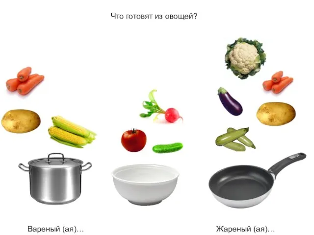 Что готовят из овощей? Вареный (ая)… Жареный (ая)…