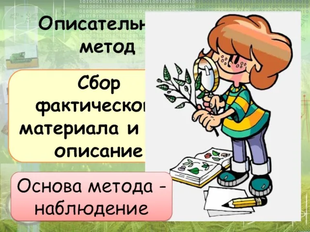 Описательный метод Сбор фактического материала и его описание Основа метода - наблюдение