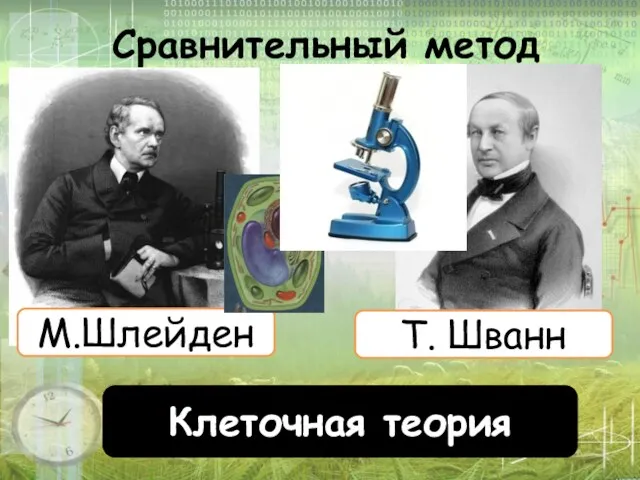 Сравнительный метод М.Шлейден Т. Шванн Клеточная теория