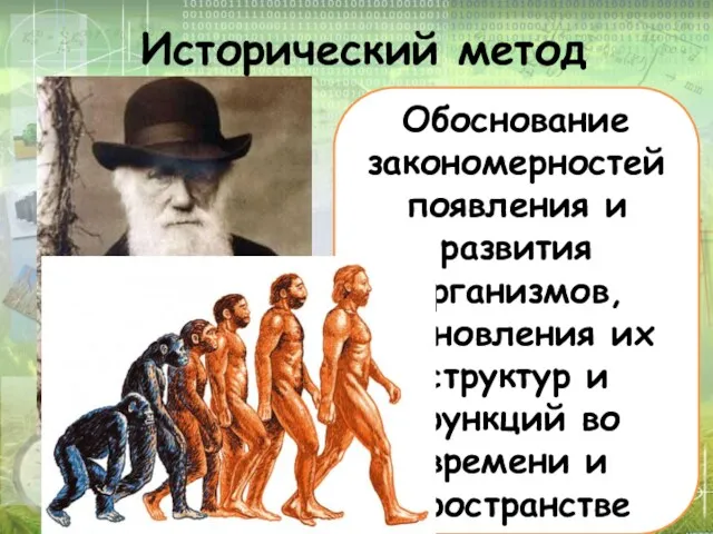 Исторический метод Обоснование закономерностей появления и развития организмов, становления их