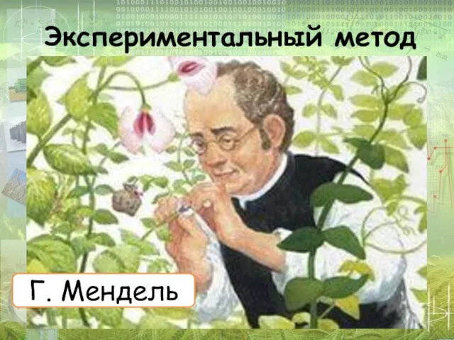 Экспериментальный метод Г. Мендель