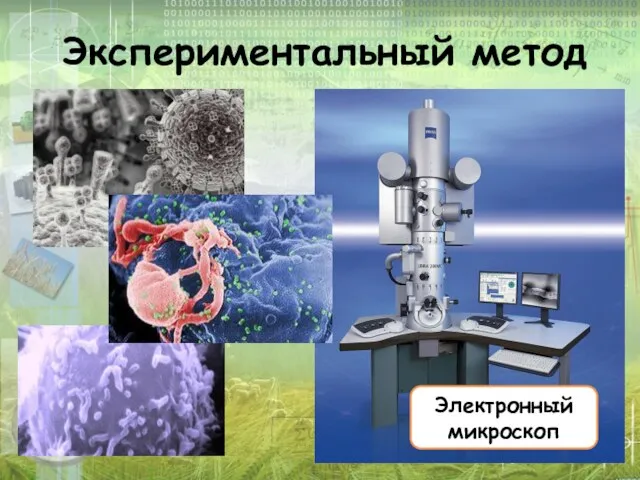 Экспериментальный метод Электронный микроскоп