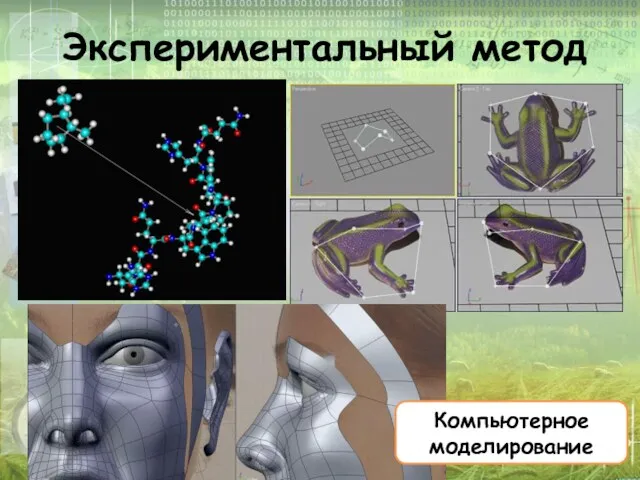 Экспериментальный метод Компьютерное моделирование