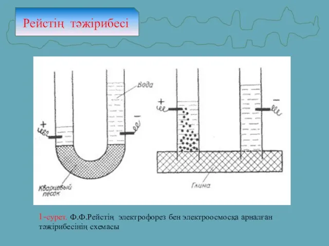 Рейстің тәжірибесі 1-сурет. Ф.Ф.Рейстің электрофорез бен электроосмосқа арналған тәжірибесінің схемасы