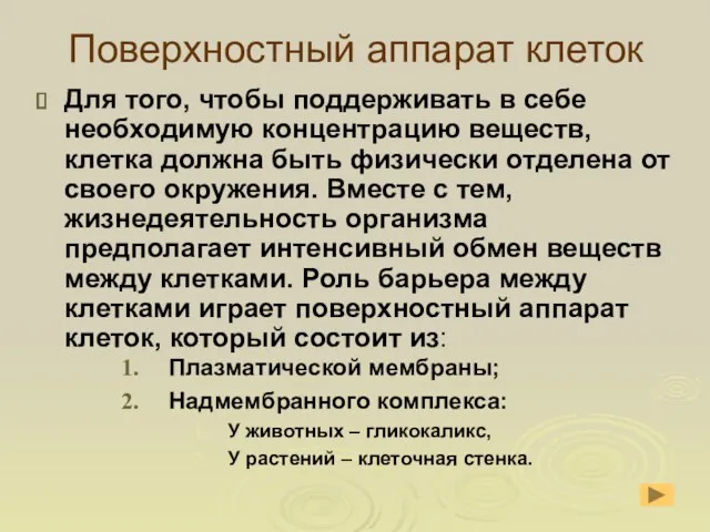 Поверхностный аппарат клеток Для того, чтобы поддерживать в себе необходимую концентрацию веществ, клетка