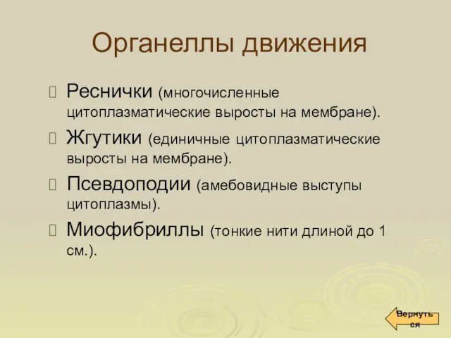 Органеллы движения Реснички (многочисленные цитоплазматические выросты на мембране). Жгутики (единичные цитоплазматические выросты на