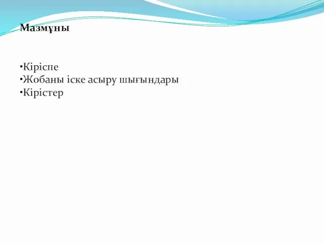 Мазмұны •Кіріспе •Жобаны іске асыру шығындары •Кірістер