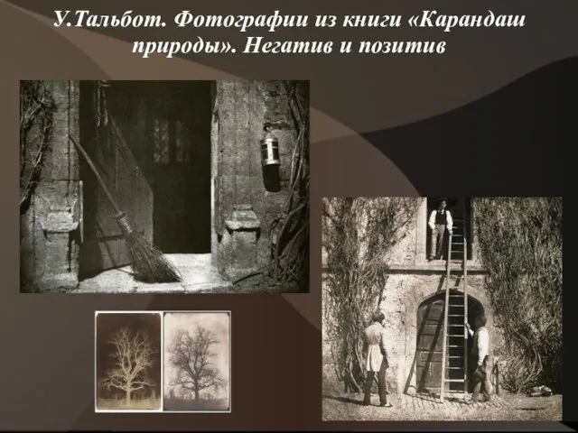 У.Тальбот. Фотографии из книги «Карандаш природы». Негатив и позитив