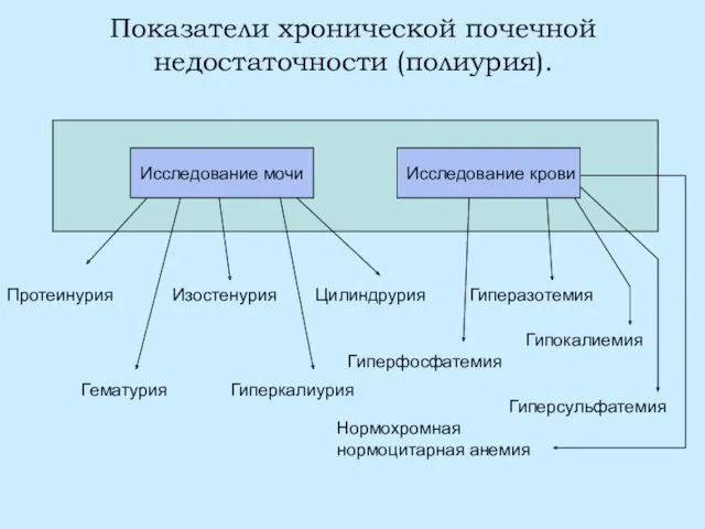 Показатели хронической почечной недостаточности (полиурия). Исследование мочи Исследование крови Протеинурия