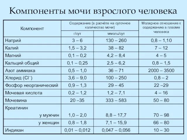 Компоненты мочи взрослого человека