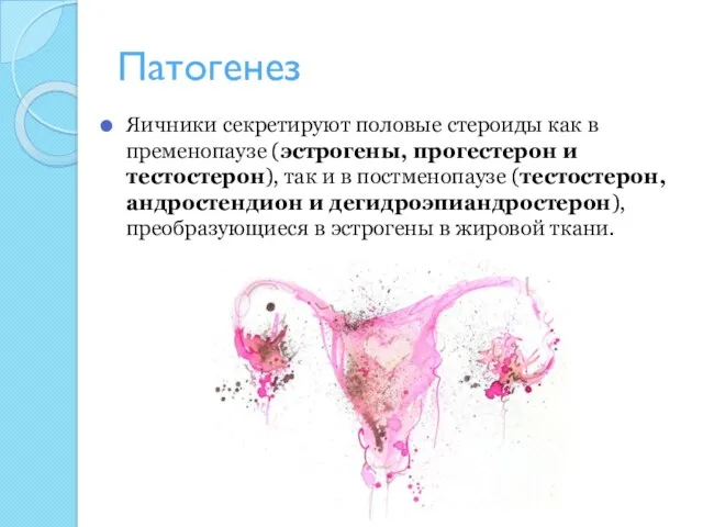 Патогенез Яичники секретируют половые стероиды как в пременопаузе (эстрогены, прогестерон