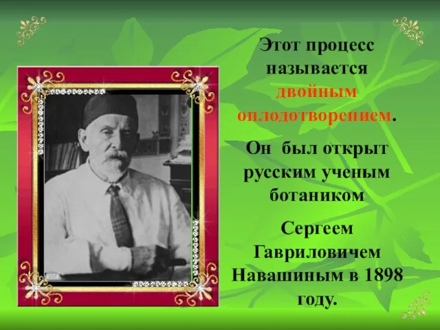 Этот процесс называется двойным оплодотворением. Он был открыт русским ученым