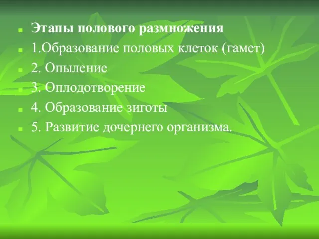 Этапы полового размножения 1.Образование половых клеток (гамет) 2. Опыление 3.