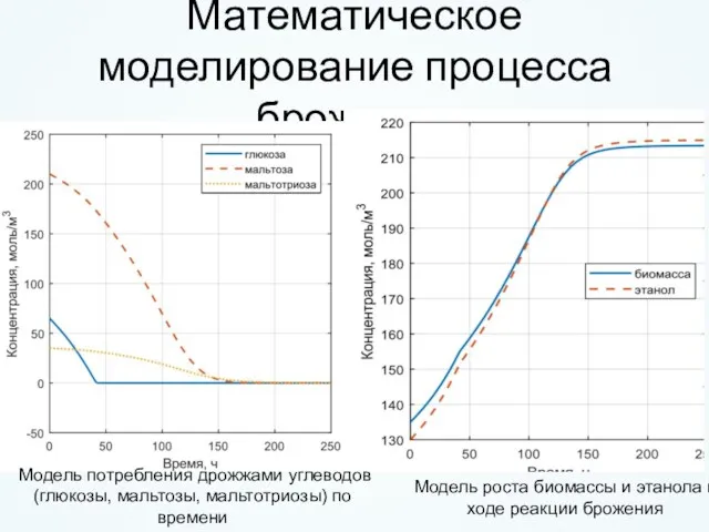 Математическое моделирование процесса брожение Модель роста биомассы и этанола в