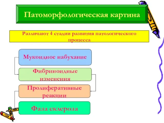 Патоморфологическая картина Различают 4 стадии развития патологического процесса Мукоидное набухание Фибриноидные изменения Пролиферативные реакции Фаза склероза