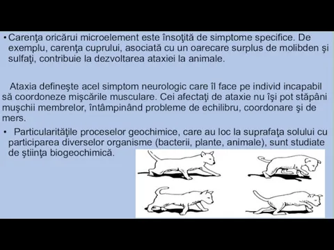 Carenţa oricărui microelement este însoţită de simptome specifice. De exemplu,