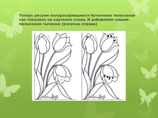 Теперь рисуем полураскрившиеся бутончики тюльпанов как показано на картинке слева. И добавляем нашим
