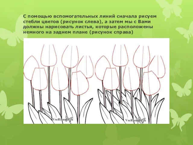 С помощью вспомогательных линий сначала рисуем стебли цветов (рисунок слева),
