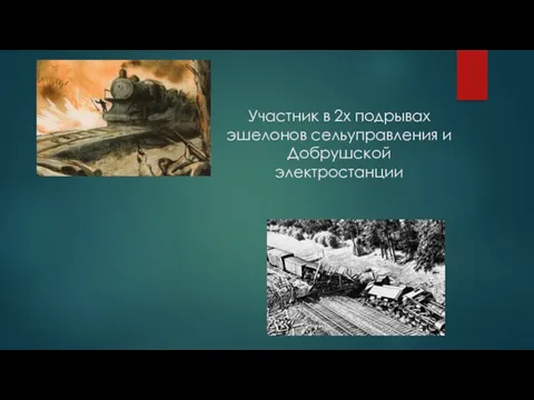 Участник в 2х подрывах эшелонов сельуправления и Добрушской электростанции