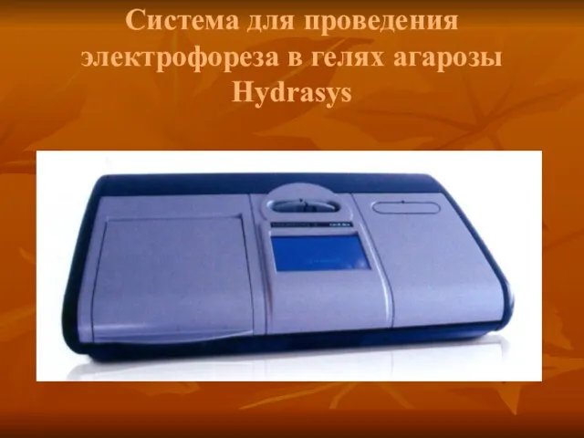 Система для проведения электрофореза в гелях агарозы Hydrasys