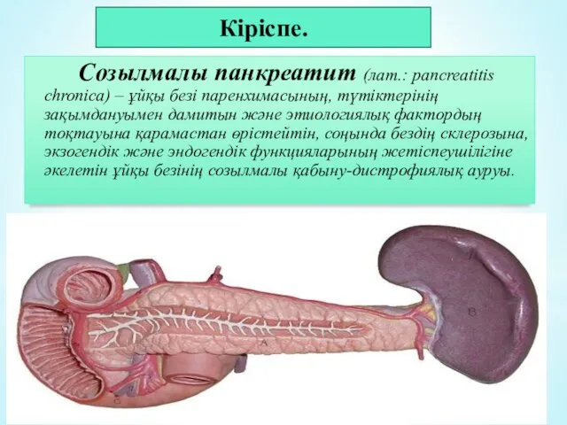 Созылмалы панкреатит (лат.: pancreatitis chronica) – ұйқы безі паренхимасының, түтіктерінің зақымдануымен дамитын және