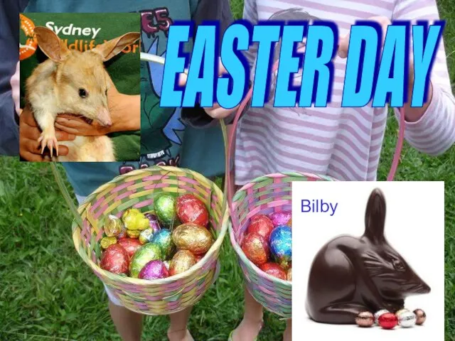 EASTER DAY Bilby