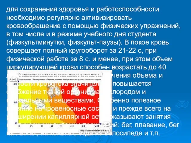 для сохранения здоровья и работоспособности необходимо регулярно активизировать кровообращение с