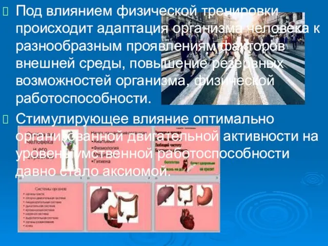 Под влиянием физической тренировки происходит адаптация организма человека к разнообразным