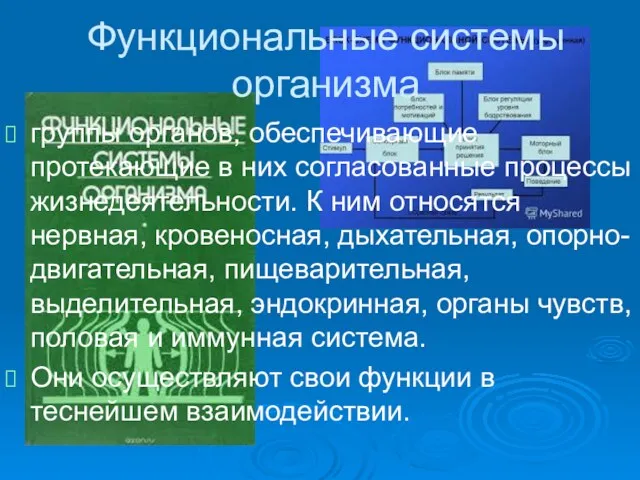 Функциональные системы организма группы органов, обеспечивающие протекающие в них согласованные