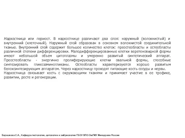 Надкостница или периост. В надкостнице различают два слоя: наружный (волокнистый) и внутренний (клеточный).