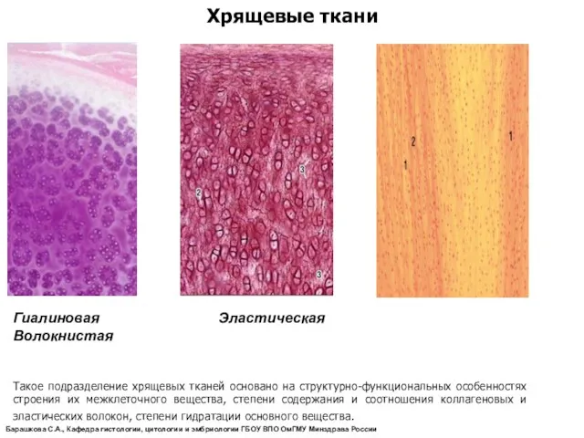 Хрящевые ткани Гиалиновая Эластическая Волокнистая Такое подразделение хрящевых тканей основано на структурно-функциональных особенностях